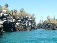 /album/ecuador-destination/tour-de-bahia-2-jpg/